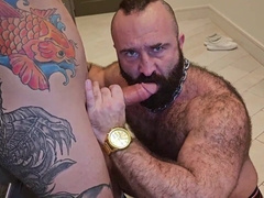 TIAGO GAÚCHO - ENORMOUS WOOD BREEDER