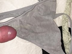 Panty