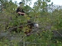 Wild Rangers vol.2