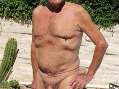 Amateur Father and the Spanish-Witnessed Wolf