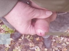 wank in the woods