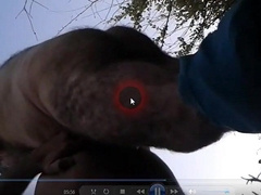 Papás maduros cogiendo al aire libre 3