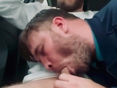 Camper fellate and jizz