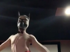 Pup disrobe display to I need a hero