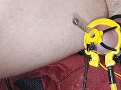 Estim , hfo  filling the probe while cumming