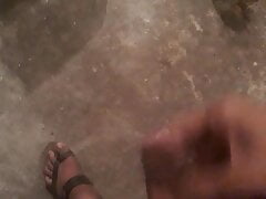Desi land