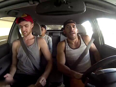 Filmy hd, palm springs gay, homo