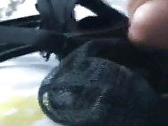 Cum spurting cock