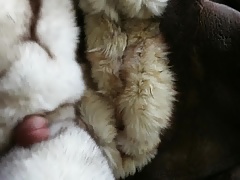Cum on dirty fox fur