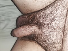 Small cock