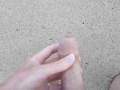 horny on the beach pt 2