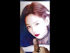 SNSD Taeyeon cum tribute