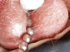 Flat Cage Chastity Cum with a Sounding Rod
