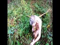 Naked In The Stream