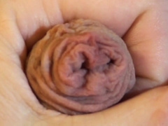 Ma queue en gros plan 4