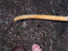 outdoor cock and ass caning