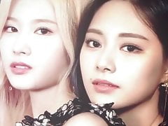 TWICE Sana and Tzuyu Cum Tribute