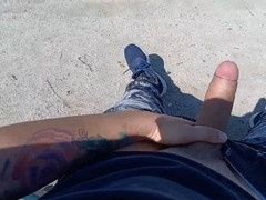park dick flasher