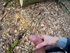 Wank In Wood 4