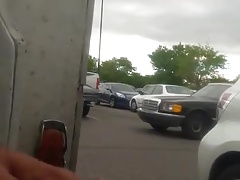 Wally world flash 2
