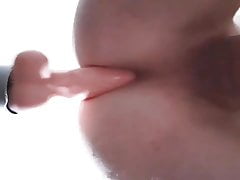 anal