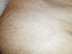 Fat body