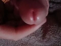 Little Taste