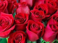 Bangladeshi, ai, mature