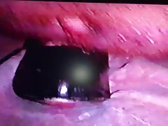 Shoe humping and cumshot