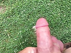 Pissing In The Wind