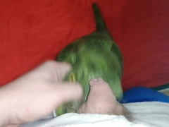 Medium Green Dinosaur T-rex) Part.1
