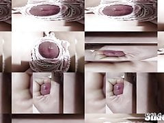 my dick slideshow
