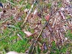 In the woods