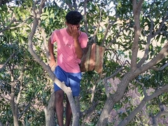Agriculture Woods Mango tree Assfucker Romantic flick in Hindi language