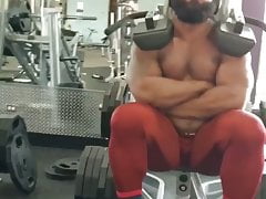 Bull Workout