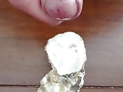 Feeding the oyster