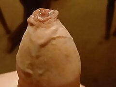 My uncut cock