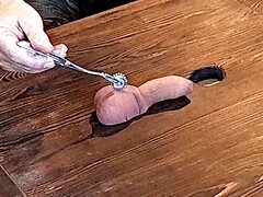 For his balls and his dick