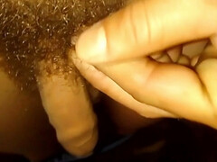 Political Pisser Solo