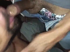Breeding masculines fertilizing butthole in the Glory Fuck-hole of Arouche in São Paulo.