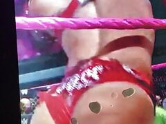 Sasha banks cum tribute