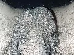 Pene