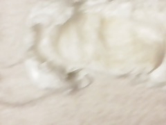 Masturbating and cum in Muumi diaper