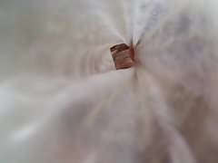 the condom bag full do BodyCam