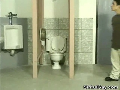 Wc Cubicle Glory Crevice Stiffy Gargling
