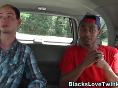Black Inexperienced Sperms Face