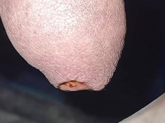 Aj low piss