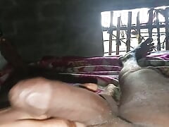 Home hand job sex videos