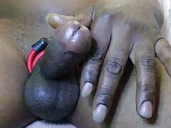Coick ring vibrator and cord wrapped ball sack