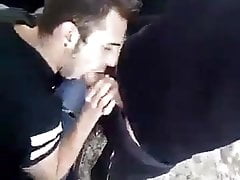 Vid